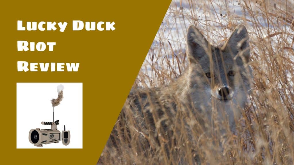 Lucky Duck Riot Review Performance & Features