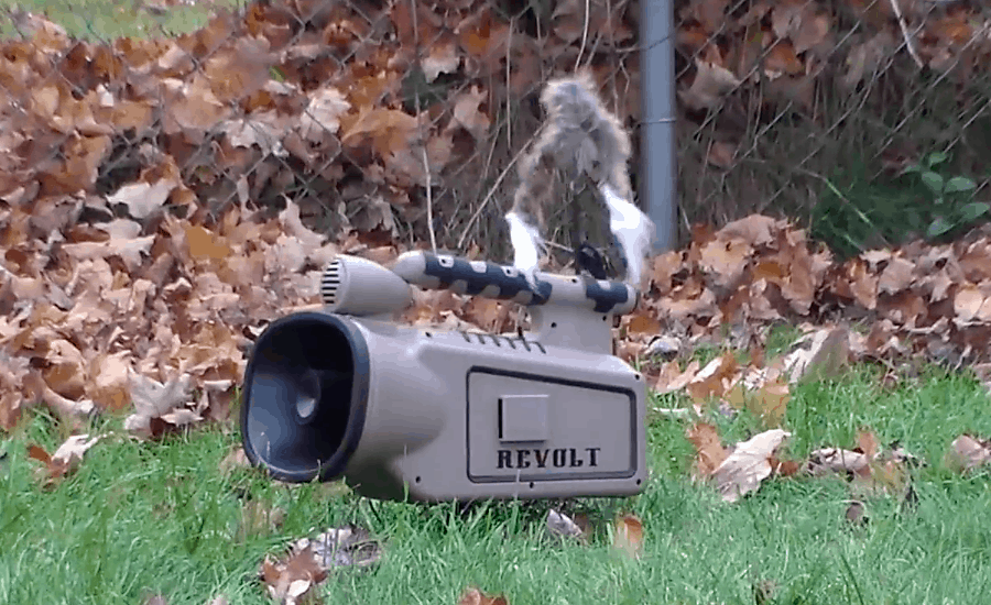 Lucky Duck Revolt Review Loud With 360 Sound!
