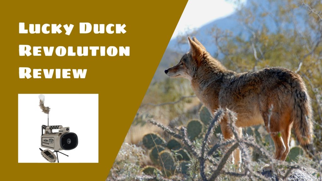 Lucky Duck Revolution Review Capture Your Hunt In HD